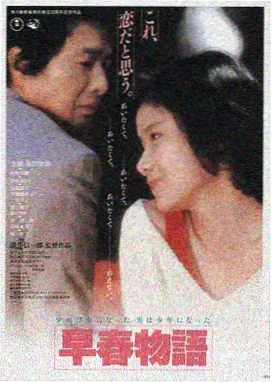 功夫女电影海报